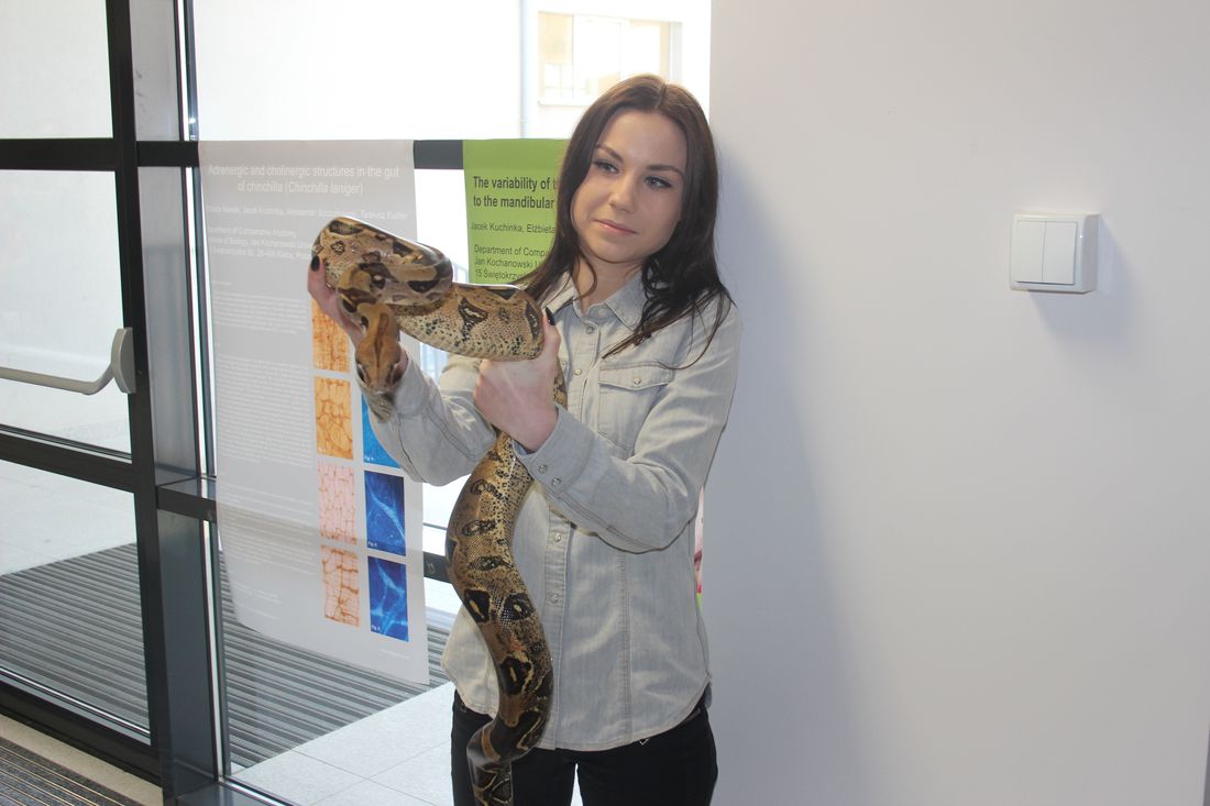 Dzień otwarty Uczelni - studentka z wężem na rękach